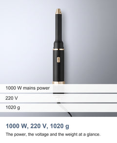 The three figures on the supplier record for the hot air styler: 1000 W, 220 V and 1020 g
