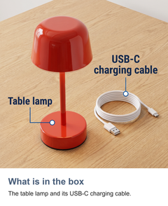 Cordless mushroom table lamp: What is in the box