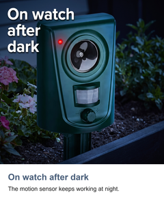 Ultrasonic cat repeller for garden: On watch after dark