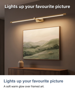 Wired LED picture and over mirror light: Lights up your favourite picture