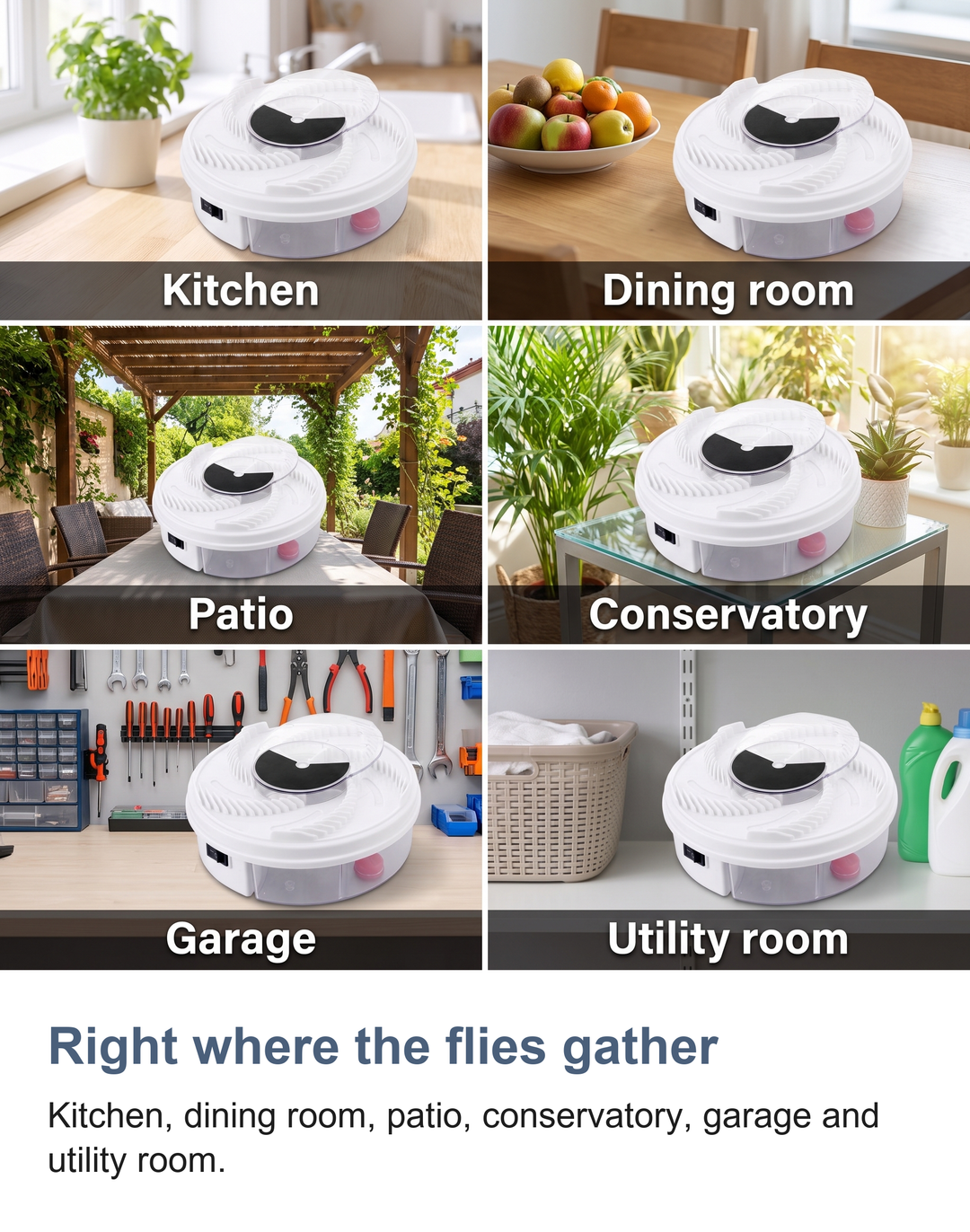 Electric rotating fly trap: Right where the flies gather