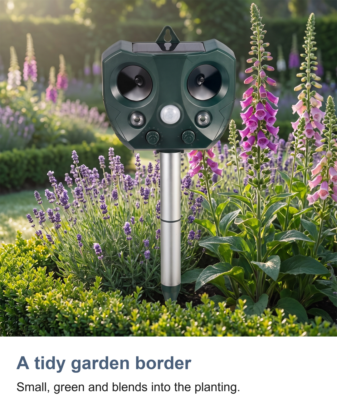 Solar ultrasonic animal repeller: A tidy garden border