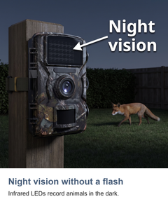 Wildlife trail camera with night vision: Night vision without a flash