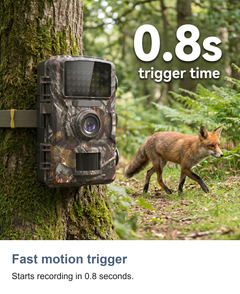 Wildlife trail camera with night vision: Fast motion trigger
