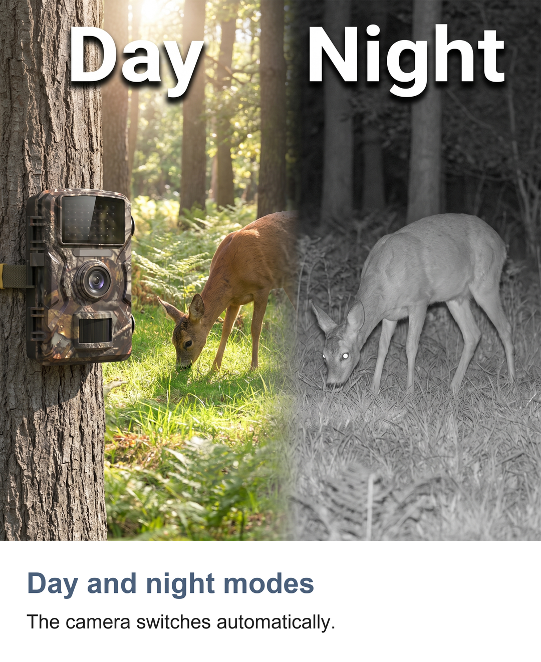 Wildlife trail camera with night vision: Day and night modes