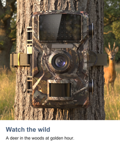 Wildlife trail camera with night vision: Watch the wild