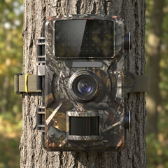 Camouflage wildlife trail camera strapped to a tree trunk in woodland