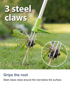 Stand up weed puller: Grips the root