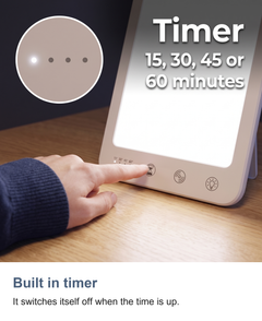 LED daylight lamp: Built in timer