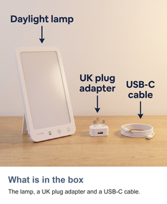 LED daylight lamp: What is in the box