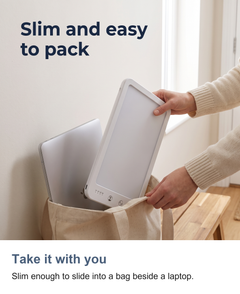 LED daylight lamp: Take it with you