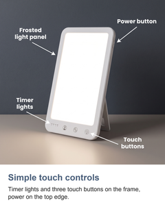 LED daylight lamp: Simple touch controls