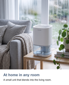 Small dehumidifier: At home in any room
