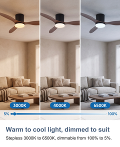 Low profile ceiling fan with light: Warm to cool light, dimmed to suit