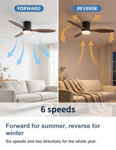 Low profile ceiling fan with light: Forward for summer, reverse for winter