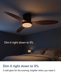 Low profile ceiling fan with light: Dim it right down to 5%