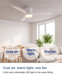 Low profile ceiling fan with light: Cool air, warm light, one fan