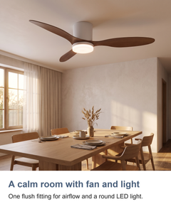 Low profile ceiling fan with light: A calm room with fan and light