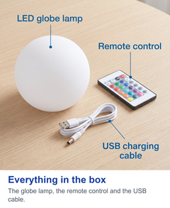 Everything in the box. The globe lamp, the remote control and the USB cable.