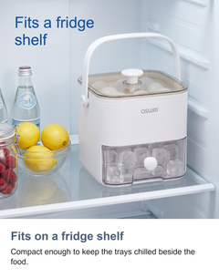 Fits on a fridge shelf: Compact enough to keep the trays chilled beside the food.