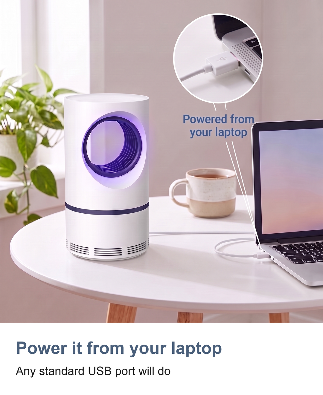 Mosquito and fly trap: Power it from your laptop