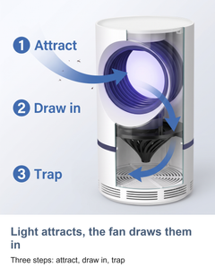 Mosquito and fly trap: Light attracts, the fan draws them in