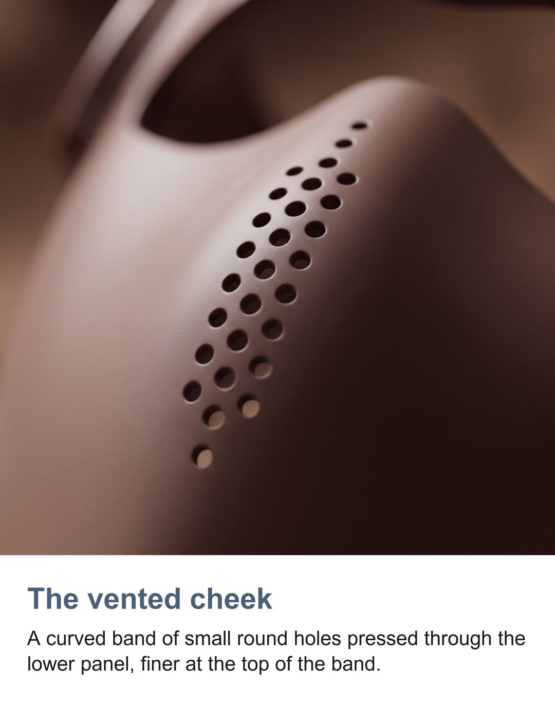 The vented band of small holes on the cheek of the shell