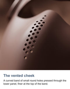 The vented band of small holes on the cheek of the shell
