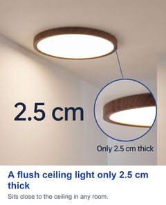 A flush ceiling light only 2.5 cm thick