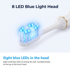 8 LED blue light brush head