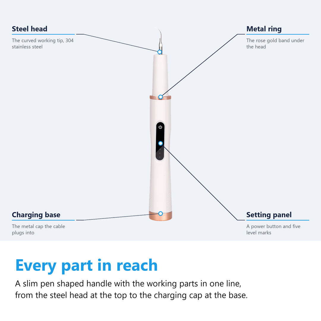 Labelled diagram of the ultrasonic tooth cleaner, steel head, metal ring, setting panel and charging base
