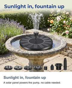 Sunlight in, fountain up: A solar panel powers the pump, no cable needed.