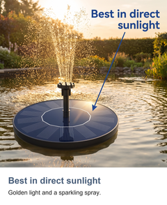 Best in direct sunlight: Golden light and a sparkling spray.