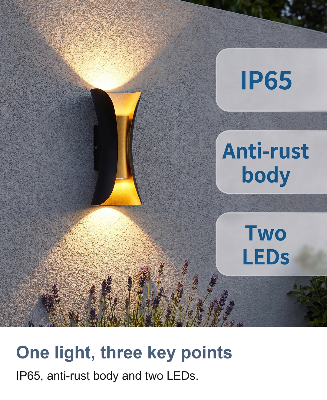 One light, three key points: IP65, anti-rust body and two LEDs.